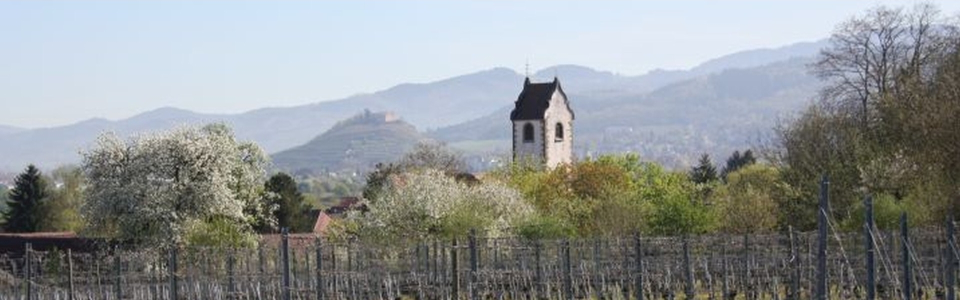 Wettelbrunn im Frühling